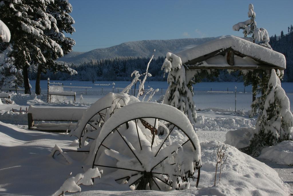 Cedar Mountain Farm Llc