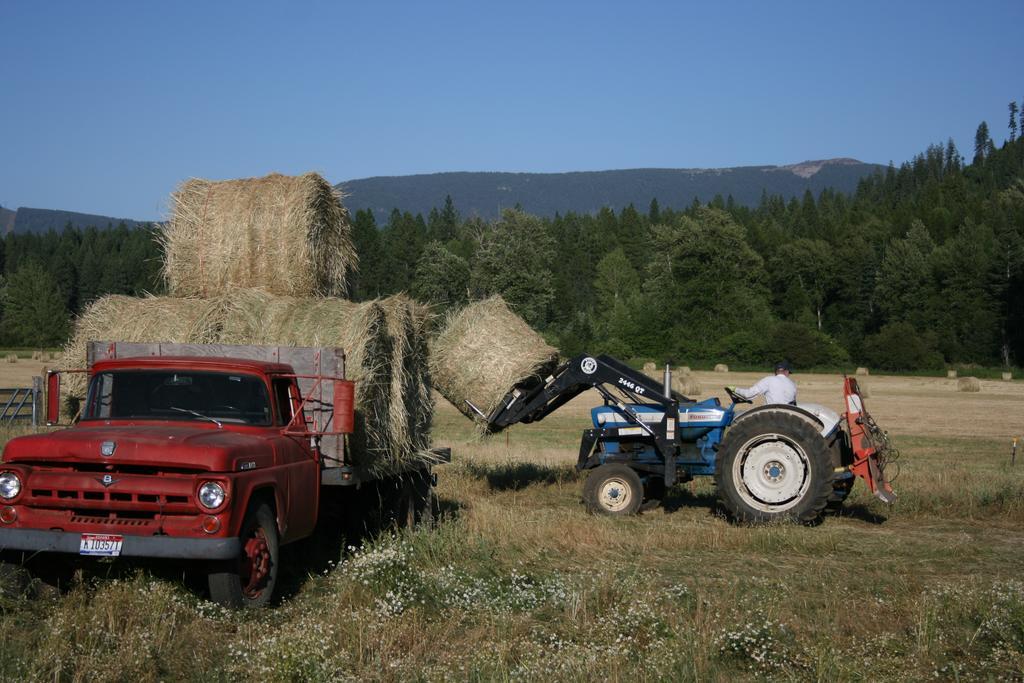 Cedar Mountain Farm Llc